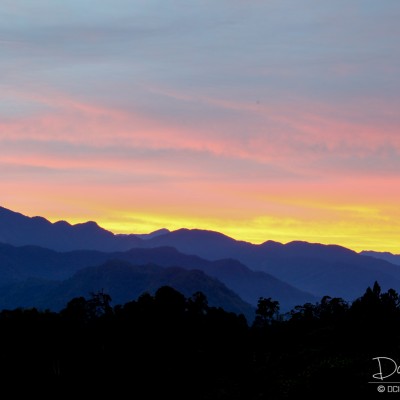Moments just before sunrise at Alishan