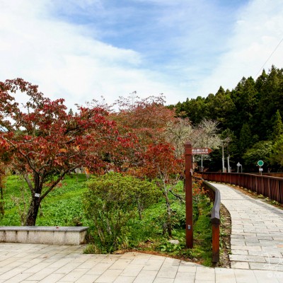 Alishan Recreational Forest