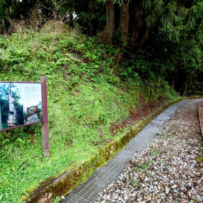 Alishan Recreational Forest