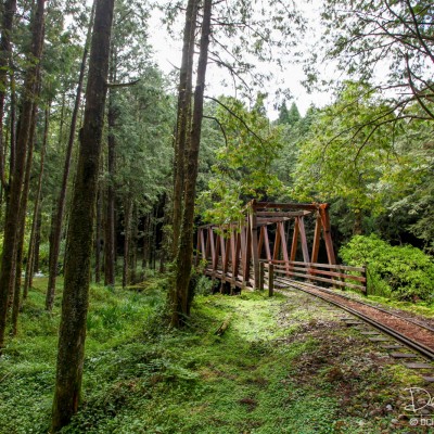 Alishan Recreational Forest
