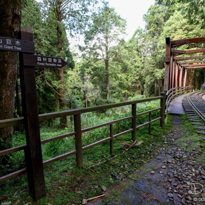 Alishan Recreational Forest