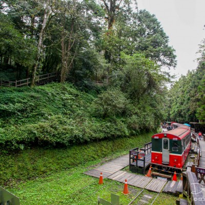 Alishan Recreational Forest
