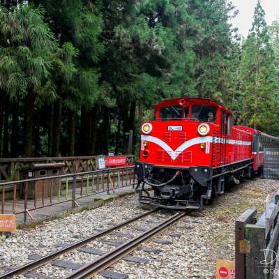 Shenmu Train Station - Alishan Recretional Forest Area