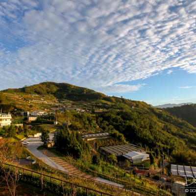 After Sunrise