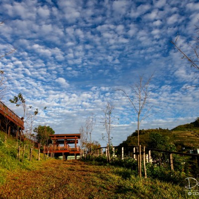 After Sunrise