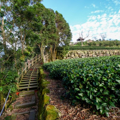 Eryanping Walking trail
