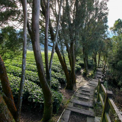 Eryanping Walking trail