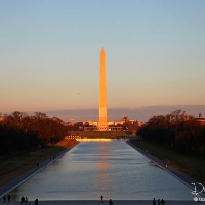 The Mall