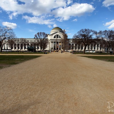 Museum of Natural Science