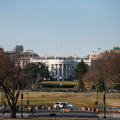 The White House