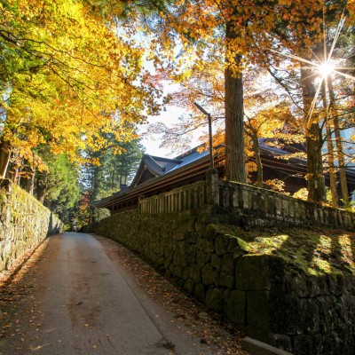 Nikko