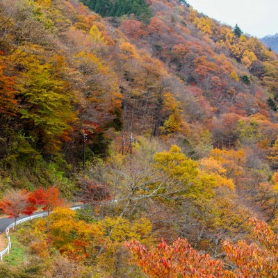Shima Dam