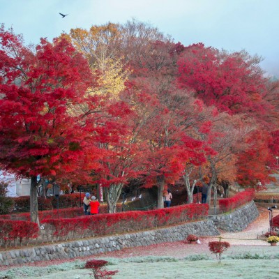 Momiji Corridor