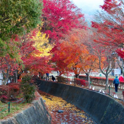 Momiji Corridor