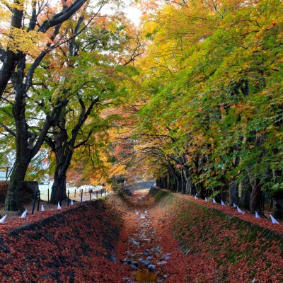 Momiji Corridor