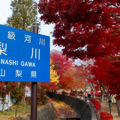 Momiji Corridor