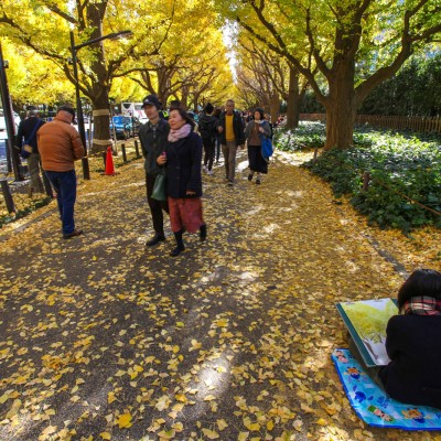 Jingu Gaien Ginko Avenue