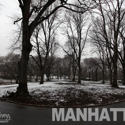 Central Park