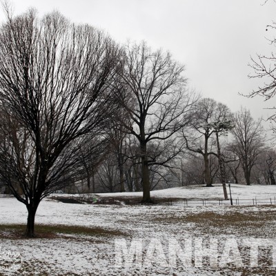 Central Park