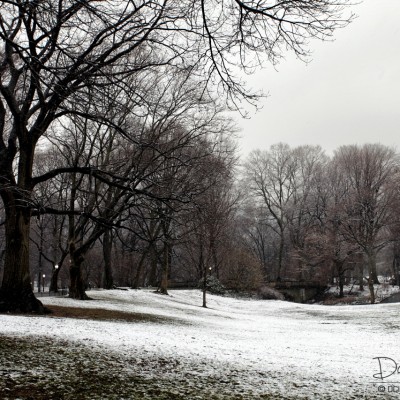 Central Park