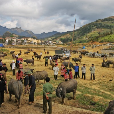 Sapa