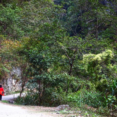 Trek to Baiyang Waterfalls
